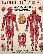 Большой атлас анатомии человека (пер. с англ. Махияновой Е.Б